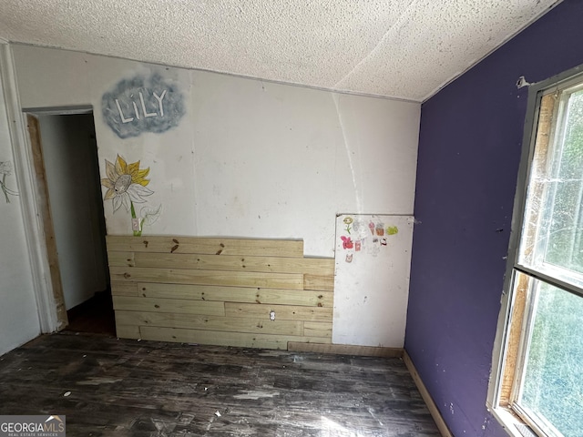 341 Mountain Lake View Dr, Jasper, GA 30143 - spare room featuring wood finished floors, a textured ceiling, and vaulted ceiling