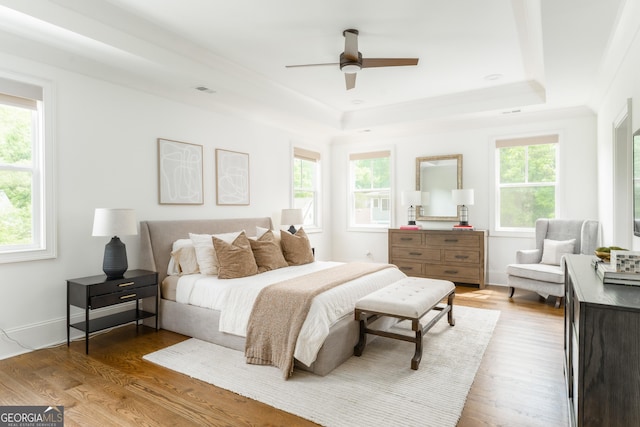 bedroom with baseboards, a raised ceiling, ceiling fan, and wood finished floors
