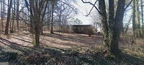 99 Davis Dr, Jasper, GA 30143 - view of yard