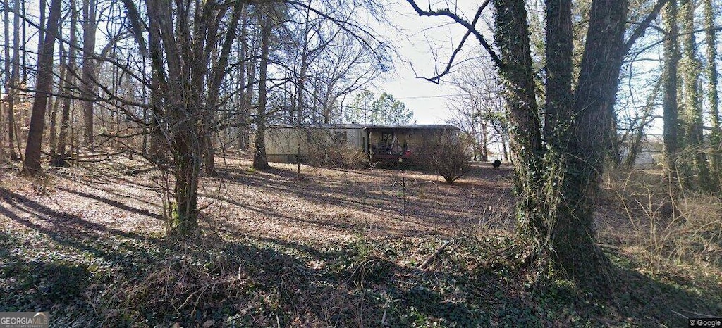 99 Davis Dr, Jasper, GA 30143 - view of yard