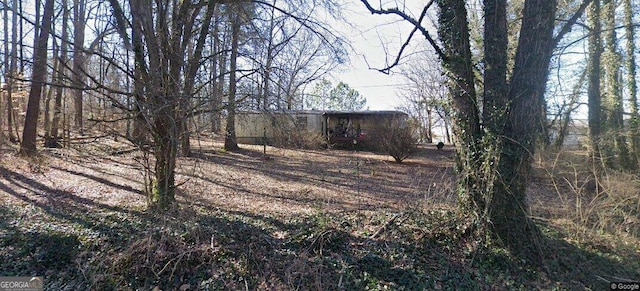 99 Davis Dr, Jasper, GA 30143 - view of yard