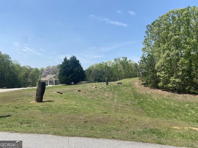 133 Lakeview Walk, Baldwin, GA 30511