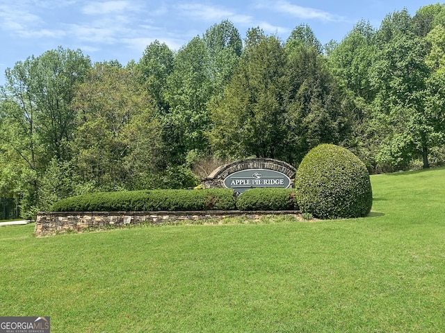 133 Lakeview Walk, Baldwin, GA 30511