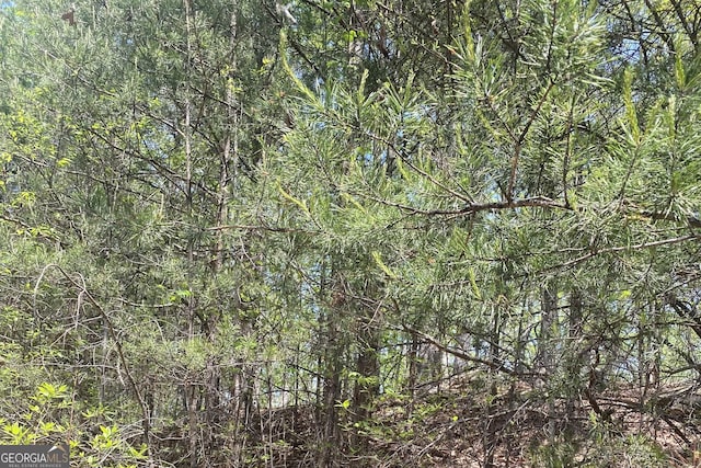 133 Lakeview Walk, Baldwin, GA 30511