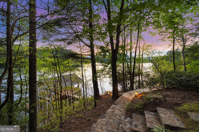 1006 Perrin Cove Rd, Tiger, GA 30576 - water view