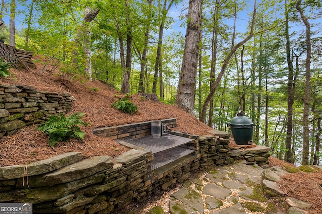 1006 Perrin Cove Rd, Tiger, GA 30576 - view of patio / terrace