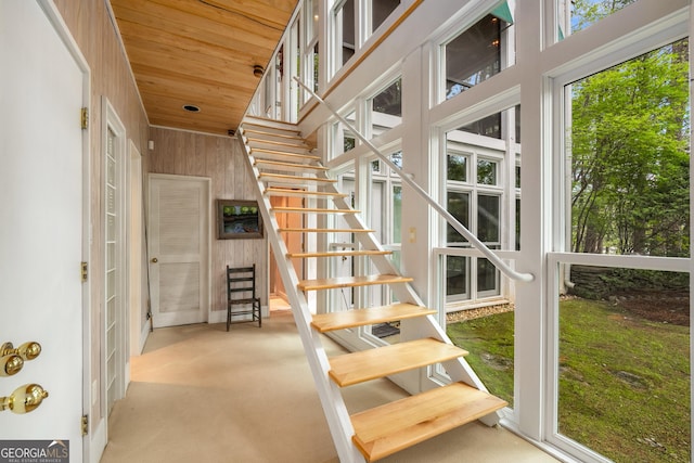 1006 Perrin Cove Rd, Tiger, GA 30576 - staircase featuring wooden ceiling and wooden walls