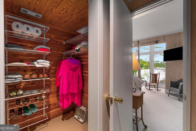 1006 Perrin Cove Rd, Tiger, GA 30576 - spacious closet with carpet