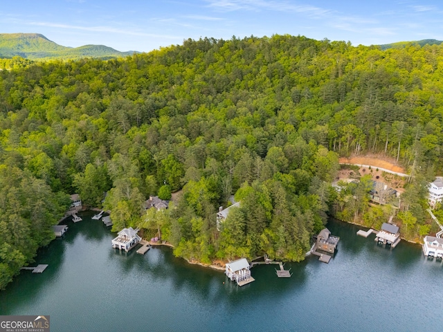 1006 Perrin Cove Rd, Tiger, GA 30576 - drone / aerial view of a heavily wooded area and a large body of water