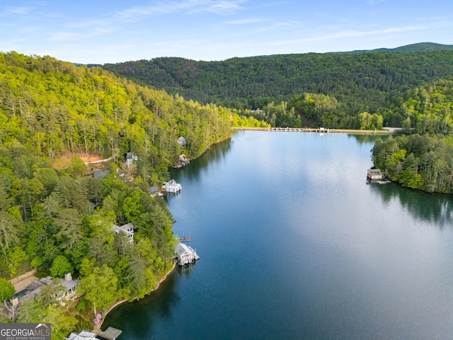 1006 Perrin Cove Rd, Tiger, GA 30576 - drone / aerial view of a heavily wooded area and a large body of water