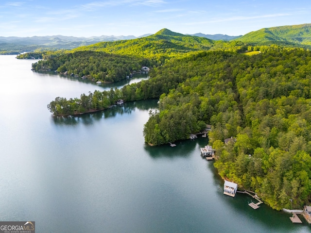 1006 Perrin Cove Rd, Tiger, GA 30576 - aerial view of a heavily wooded area and a water and mountain view