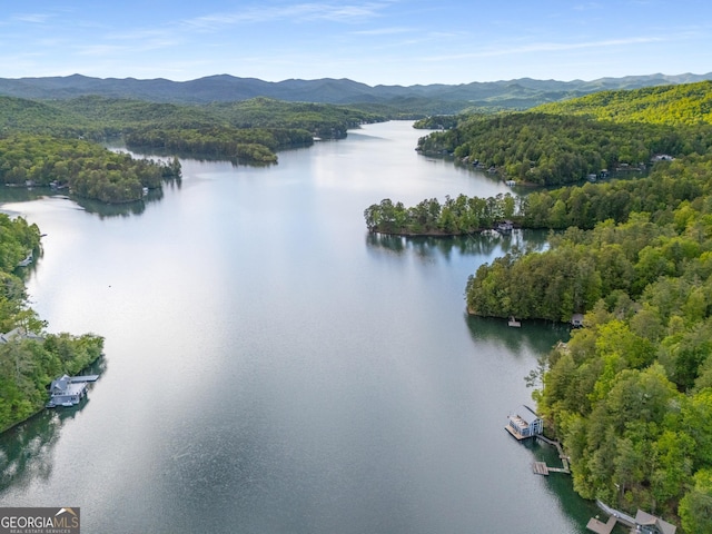 1006 Perrin Cove Rd, Tiger, GA 30576 - bird's eye view of a water and mountain view and a forest
