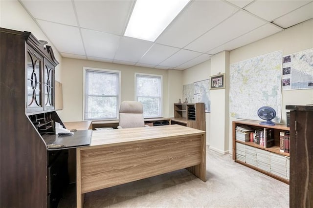 carpeted office space featuring a paneled ceiling