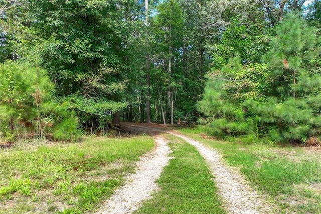 view of road featuring a forest view