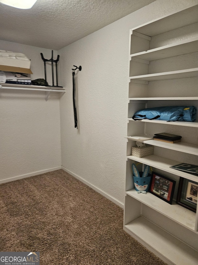 walk in closet with carpet floors