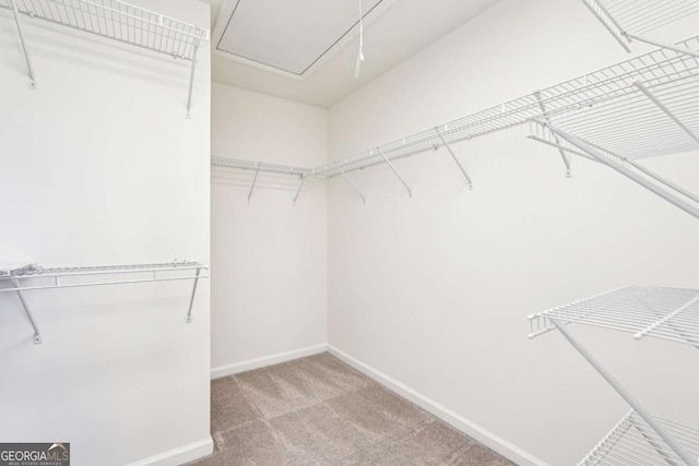3505 Chattahoochee Summit Ln SE Unit 25, Atlanta, GA 30339 - spacious closet with attic access and light carpet