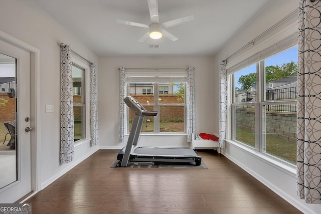 463 Marston Pass, Acworth, GA 30102 - exercise room with visible vents, a ceiling fan, baseboards, and dark wood-style floors