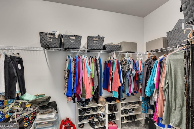 463 Marston Pass, Acworth, GA 30102 - view of walk in closet