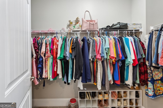 view of spacious closet