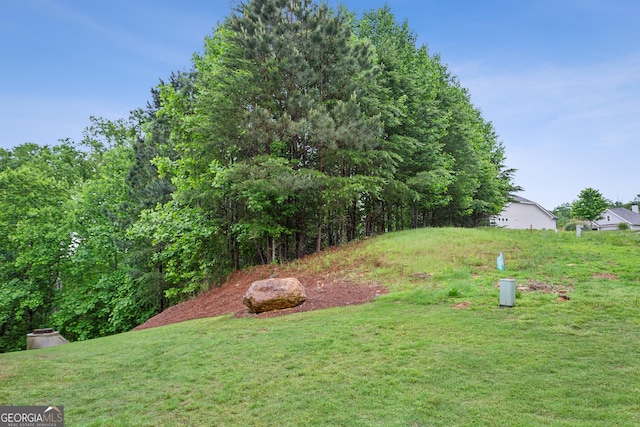 view of grassy yard