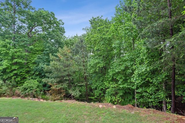 view of green lawn featuring a view of trees