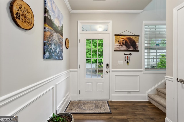 doorway to outside featuring dark wood-type flooring, crown molding, healthy amount of natural light, a wainscoted wall, and a decorative wall