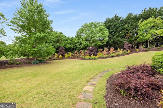 2855 Drayton Hall Dr, Buford, GA 30519 - view of yard
