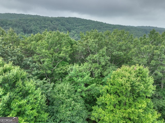 property view of mountains featuring a wooded view