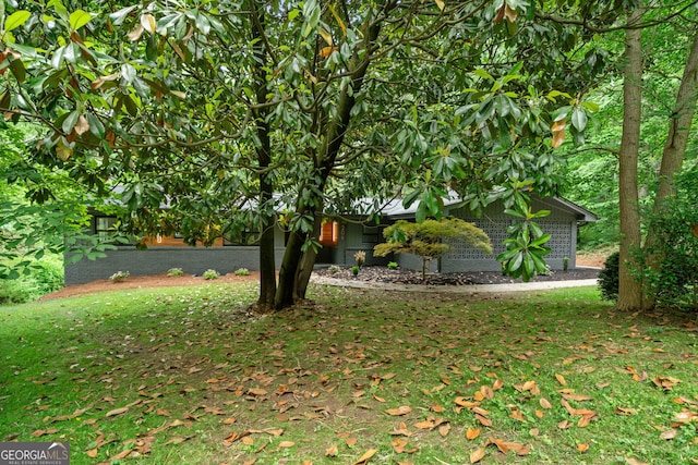 view of yard