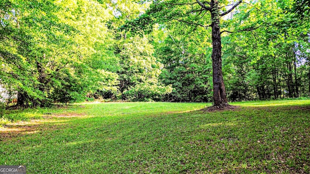 view of yard with a forest view