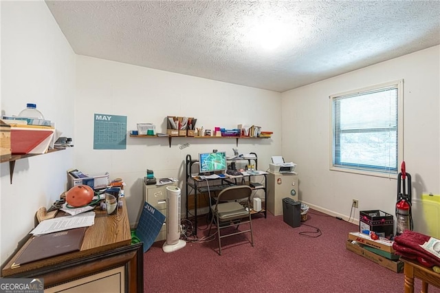 633 Iris Rd, Pine Lake, GA 30072 - office area with carpet flooring and a textured ceiling