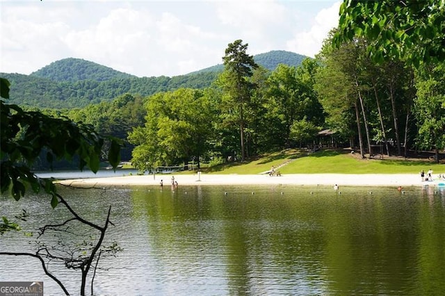 334 Little Pine Mountain Rd, Jasper, GA 30143 - water view with a mountain view and a forest view