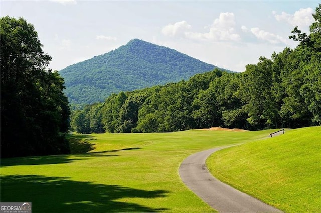 334 Little Pine Mountain Rd, Jasper, GA 30143 - view of property's community featuring a yard, a mountain view, and golf course view