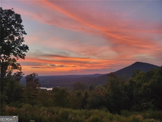 334 Little Pine Mountain Rd, Jasper, GA 30143 - property view of mountains with a forest view
