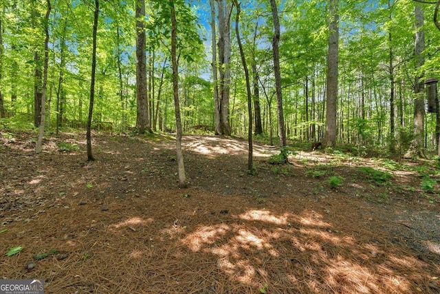 6034 Addington Dr NW, Acworth, GA 30101 - view of nature featuring a view of trees