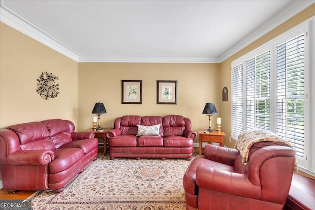 6034 Addington Dr NW, Acworth, GA 30101 - living area with ornamental molding
