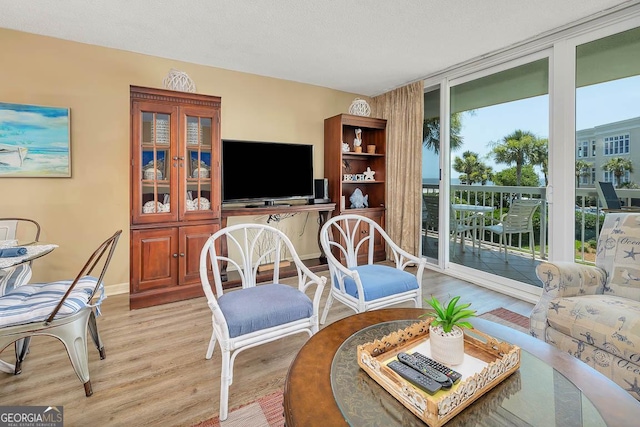 living room featuring light wood-style floors, baseboards, and floor to ceiling windows
