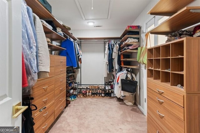 walk in closet featuring attic access and carpet floors