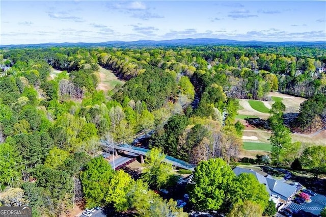 aerial view of a forest