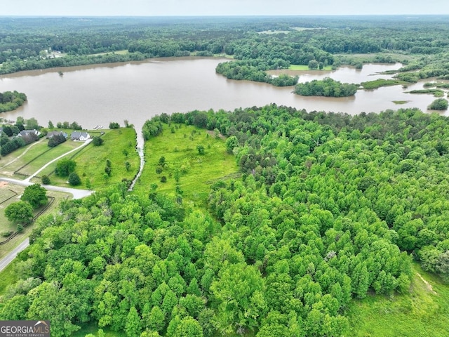 bird's eye view featuring a water view and a forest view