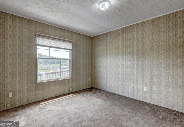 unfurnished room featuring carpet floors and a textured ceiling