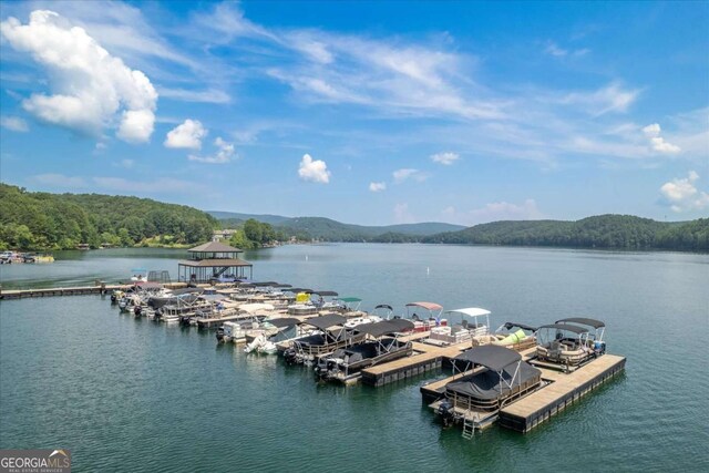 view of dock featuring a water and mountain view