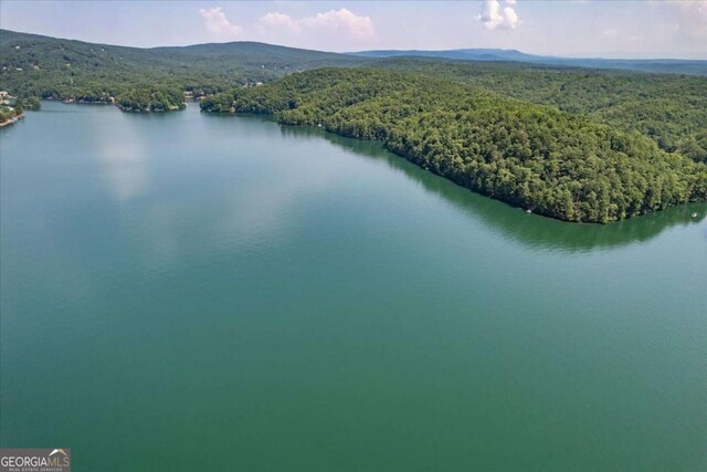 bird's eye view featuring a forest view and a water and mountain view