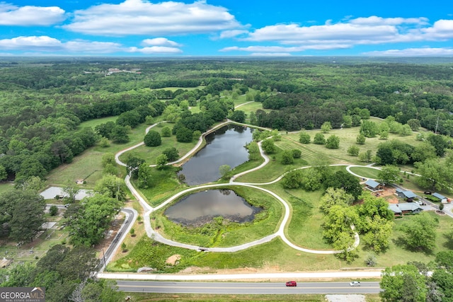 aerial view featuring a water view and a forest view