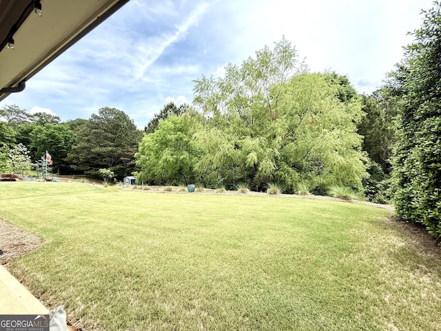 view of yard