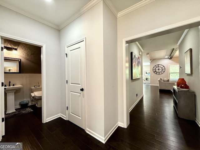 hallway with baseboards, dark wood-style floors, and ornamental molding