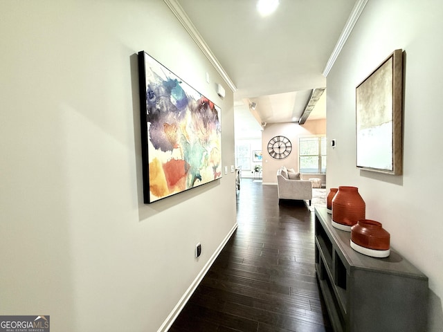 hallway featuring crown molding, baseboards, and dark wood finished floors