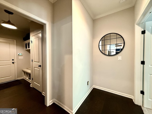 hallway featuring crown molding, baseboards, and dark wood-type flooring