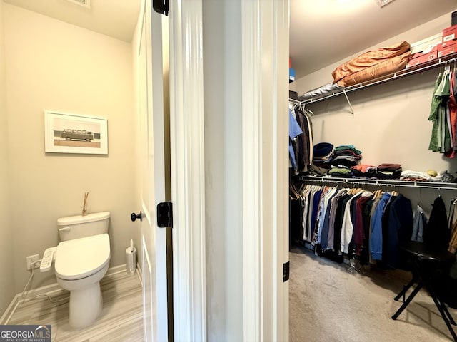 view of spacious closet