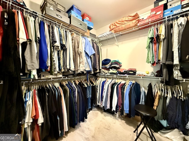 view of spacious closet